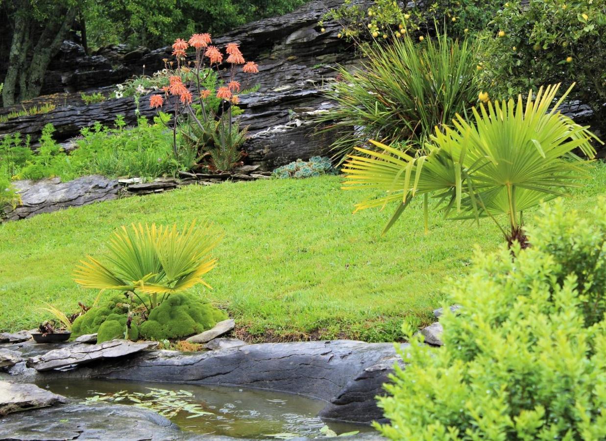 Labyrinth Gardens Guest House Takaka Esterno foto
